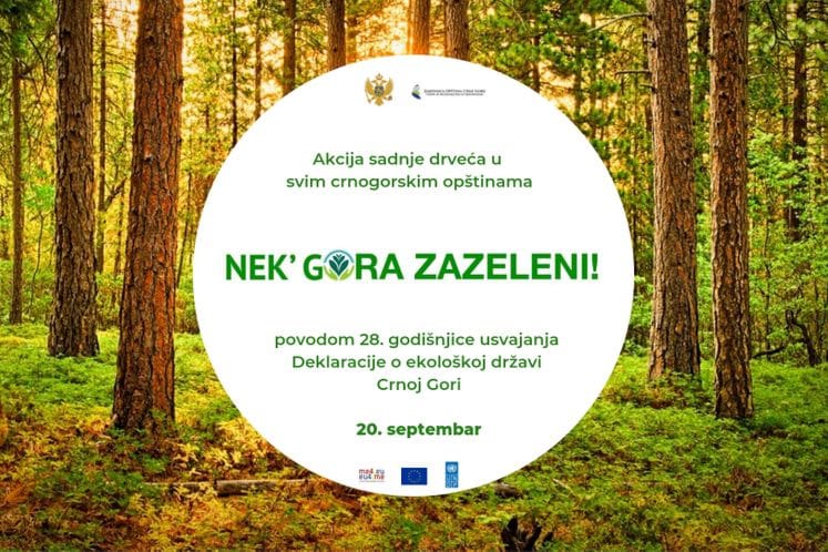 Obilježavanje 28 godina od proglašenja Crne Gore za ekološku državu: Nek' gora zazeleni!