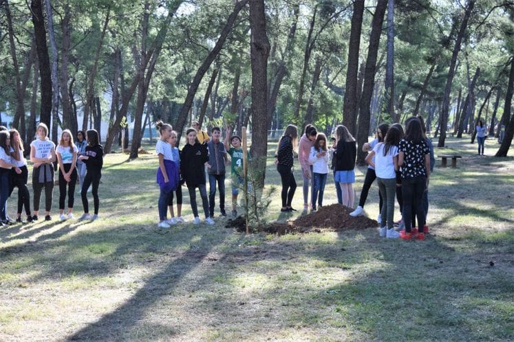 Saopštenje: Crna Gora s ponosom nosi epitet ekološke države