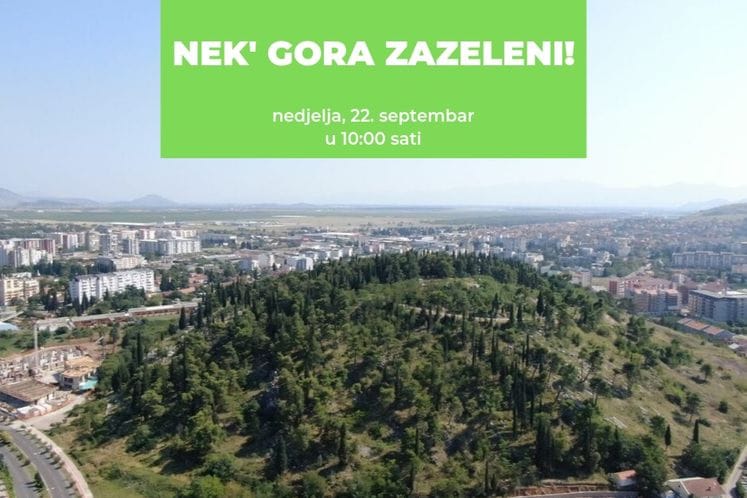 Akcija: Nek' gora zazeleni! - u nedjelju pošumljavanje brda Ljubović