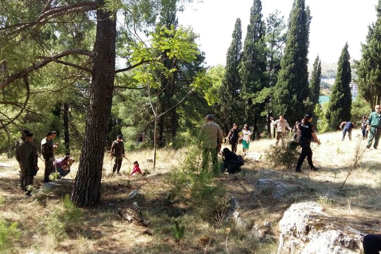 Završena akcija pošumljavanja Ljubovića – čuvamo prirodu da bi ona čuvala nas