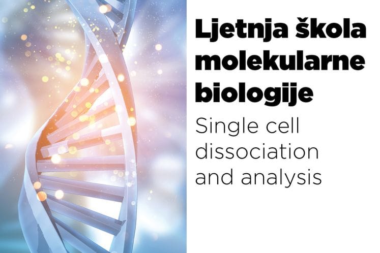 Najava: Ljetnja škola MOLEKULARNE BIOLOGIJE u Kotoru od 9-11.septembra