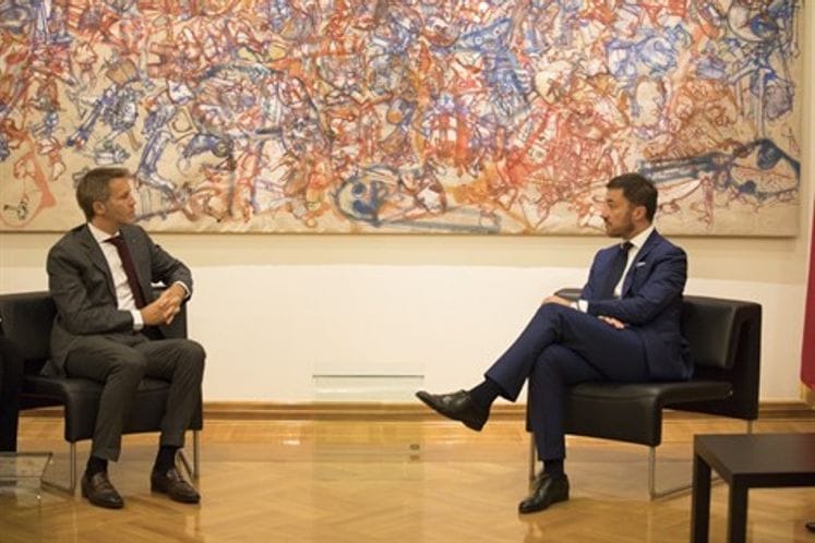 Ministry of Culture supports initiative to build monument to Queen Jelena in Podgorica