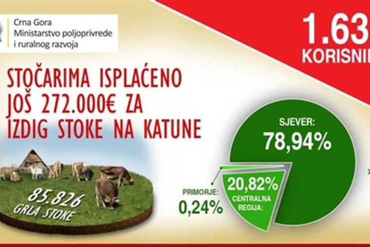 Additional support to livestock farmers: Another EUR 272 thousand for livestock grazing in katuns