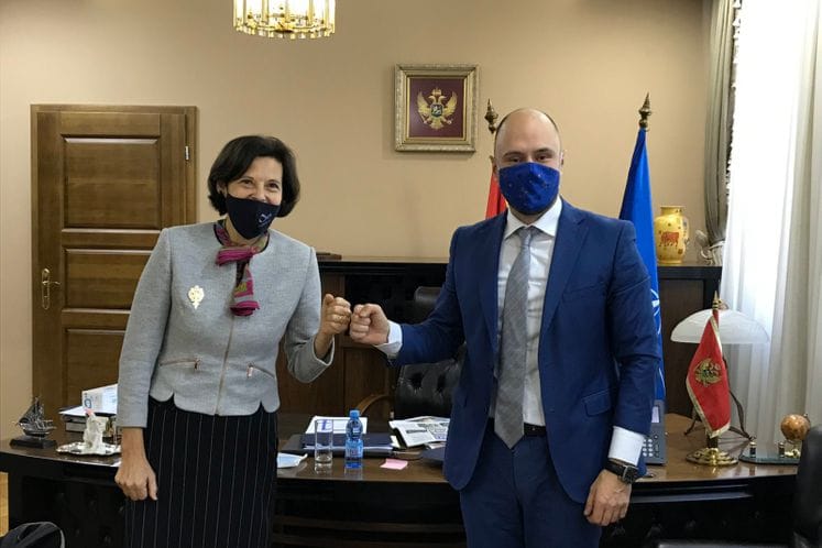 Ministar Radulović i ambasadorka Janković: Snažna podrška Austrije evropskom putu Crne Gore