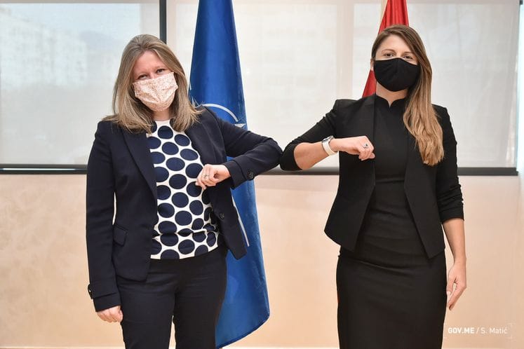 Srzentić - Medoks: Podrška Ujedinjenog Kraljevstva digitalizaciji javne uprave