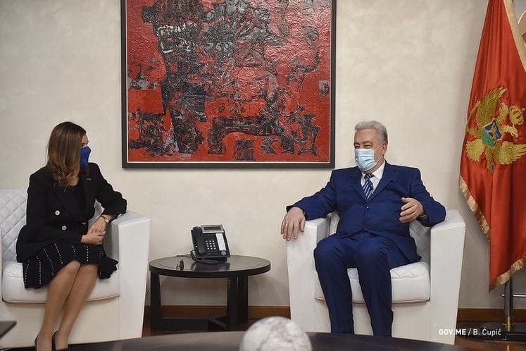 Predsjednik Vlade Zdravko Krivokapić se sastao sa šeficom Delegacije EU u Crnoj Gori Oanom Kristinom Popa