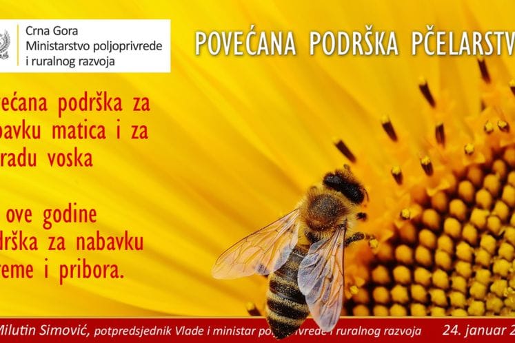 Objavljeni javni pozivi za sektor pčelarstva: Veća podrška pčelarima