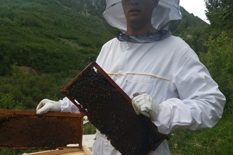 Javni poziv za dodjelu podrške mladim pčelarima početnicima za 2020.