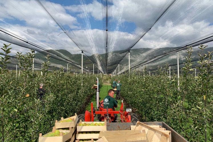 Do savremenog voćnjaka uz bespovratna podršku od 50 odsto investicije