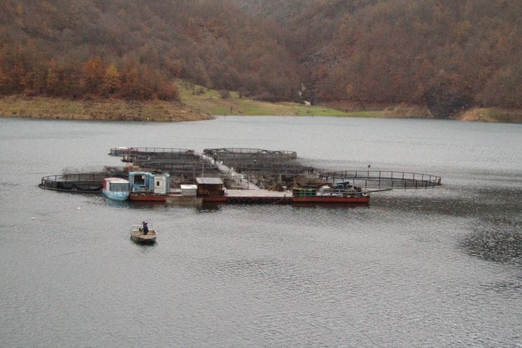 Javni poziv za dodjelu podrške za poboljšanje konkurentnosti i efikasnosti sektora slatkovodne akvakulture