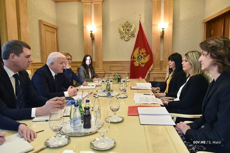 Alliance for Europe: PM Marković with CEMI and CRNVO on possibilities of more proactive approach to European integration