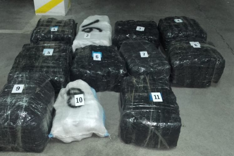 Akcija „Panter“: Presječen lanac krijumčarenja droge na Skadarskom jezeru