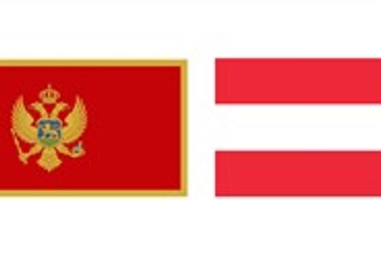 Konkurs za sufinansiranje naučne i tehnološke saradnje između Crne Gore i Republike Austrije za period 2021-2022. godina