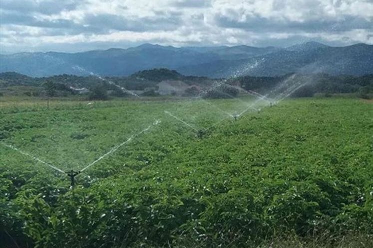 Proizvođačima i ove godine bespovratna podrška za izgradnju sistema za navodnjavanje