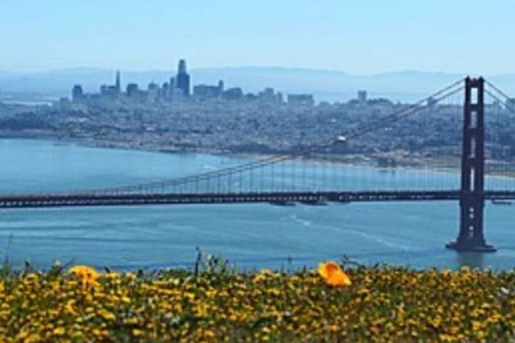 Cetinjanin iz San Franciska donirao NKT-u 50.000 eura za borbu protiv COVID 19