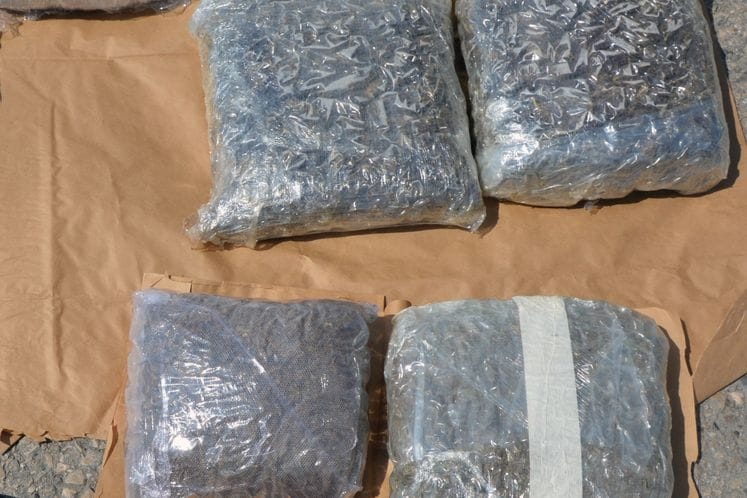 Uhapšena osoba kod koje je pronađeno osam kilograma marihuane