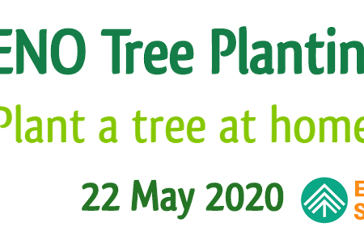 ENO Akcija sadnje 22. maja – Posadi stablo kod kuće