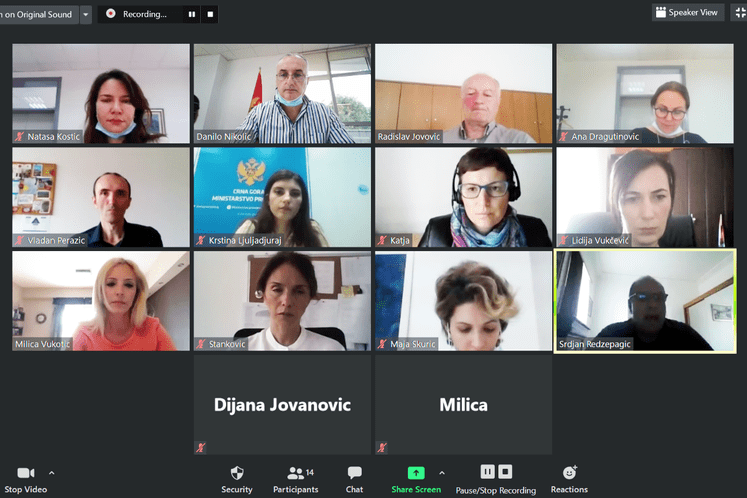 Onlajn sastanak upravnog odbora projekta IESP