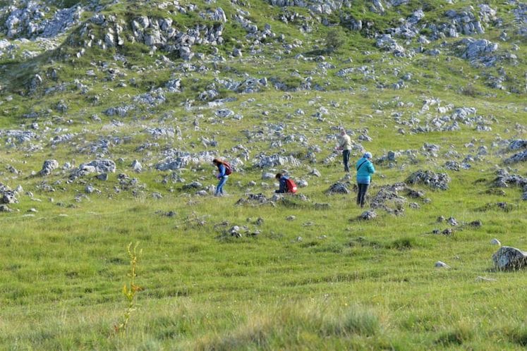 U toku je istraživanje u okviru projekta ‘Izrada nultog stanja na Sinjajevini'