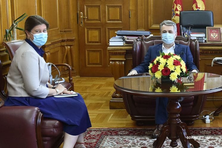 Ministar Nuhodžić i ambasadorka Kemp: U zajedničkim akcijama crnogorske i britanske policije, zaplijenjena značajna količina narkotika