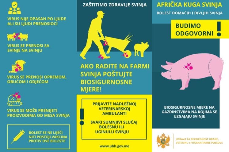 Spriječimo pojavu afričke kuge svinja