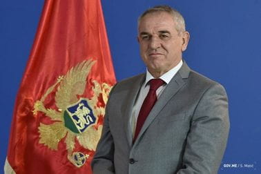 prof. dr Ratko Mitrović