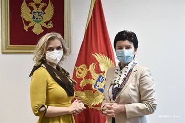 Jelena Borovinić Bojović - Mina Brajović
