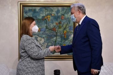 Zdravko Krivokapić - Džudi Rajzing Rajnke