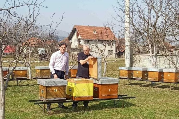 Veličkovič i Šebek