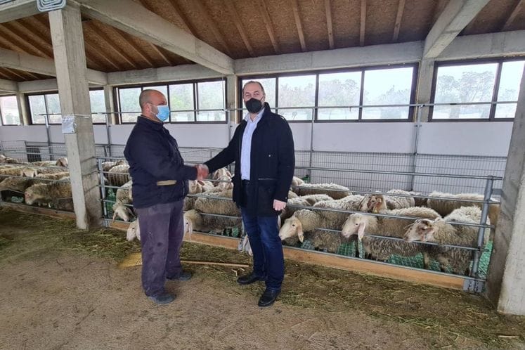 Stijović i Carević