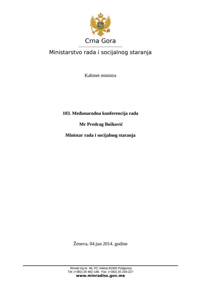 mr Predrag Bošković - Međunarodna konferencija rada