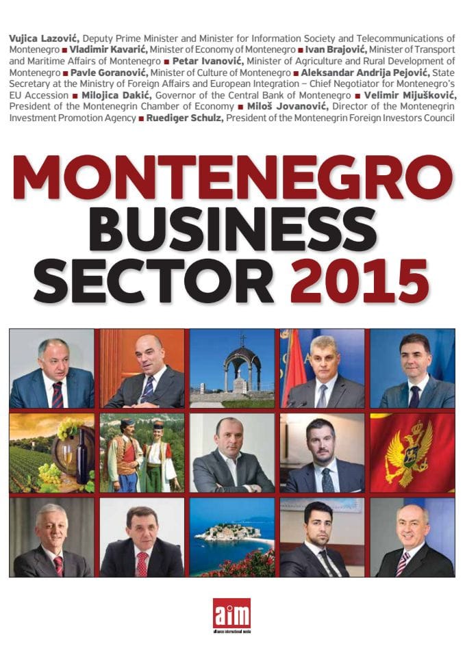 Montenegro Business Sector 2015 small spreads