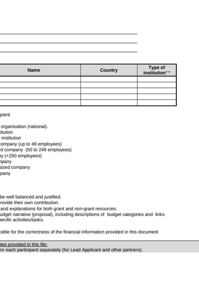 Copy of Innovation project (Budget Plan)