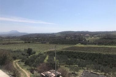 Posjeta državnog sekretara Veličkovića sa saradnicama vinariji Milović