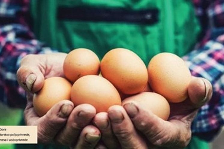 Нижи ПДВ на јаја чува домаћу производњу