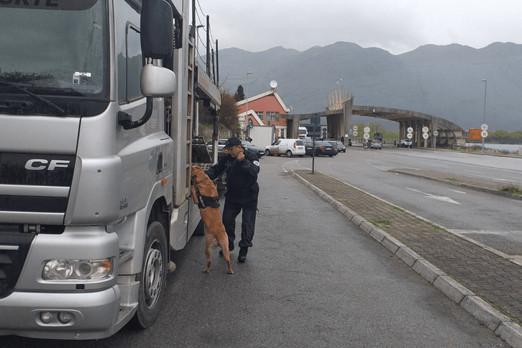 granična policija