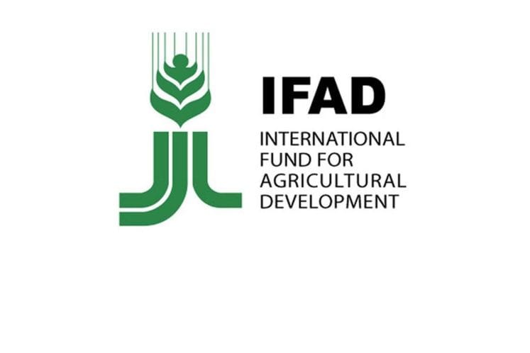 IFAD