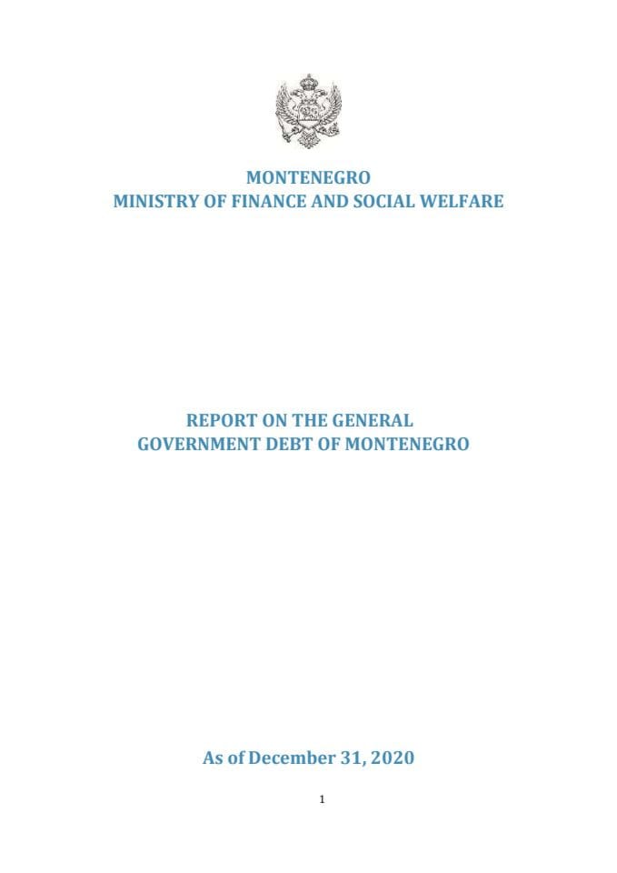 Report on General Governemnt Debt 2020
