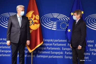 Zdravko Krivokapić - David Sasoli