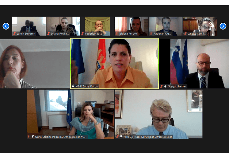 Ljetnja škola za mlade diplomate “Gavro Vuković”