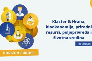 Klaster 6