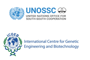 UNOSSC