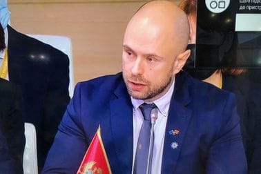 Ministar Radulović