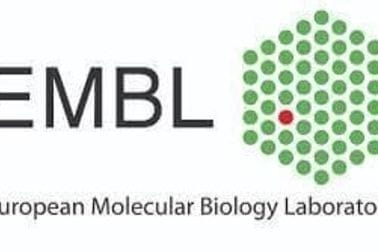 EMBL