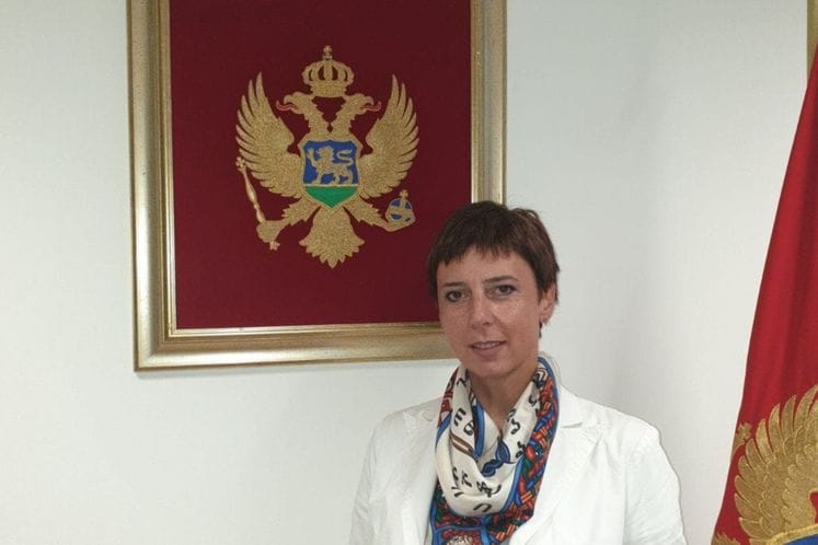 Crna Gora dobila predstavnika u Stalnom komitetu Regionalnog komiteta Svjetske zdravstveno organizacije