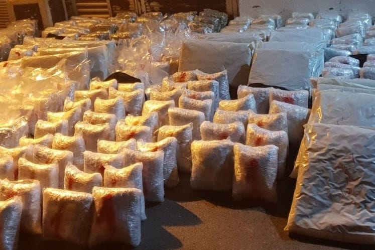 марихуана, бар