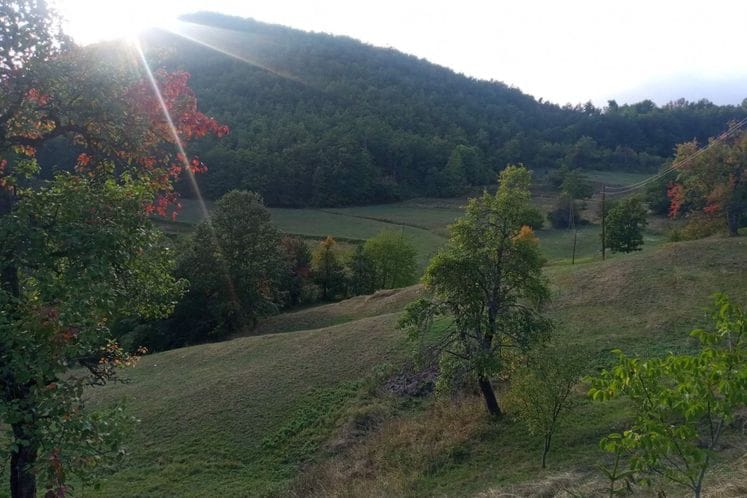 Posjeta državnog sekretara Veličkovića selu Bjelice