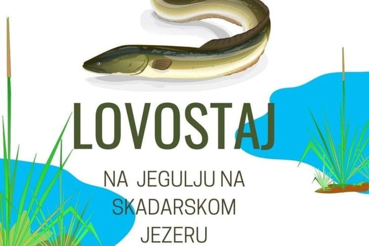 Lovostaj na jegulju do 1. decembra