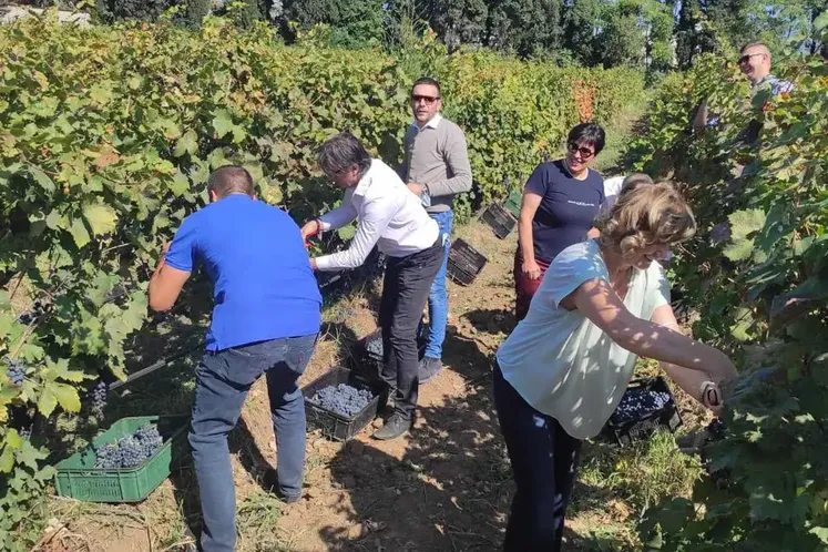 Svečano obilježen završetak berbe grožđa u Lješkopolju