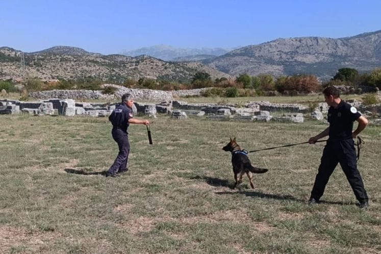 obuka službenih pasa